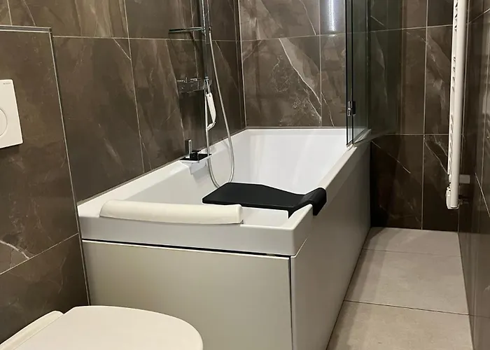 Apartament Ivy - Zell Am *